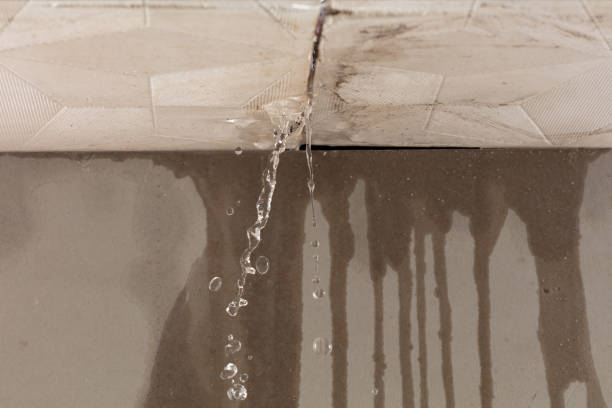 Professional Burst Pipe Cleanup technician working in Waldo, AR